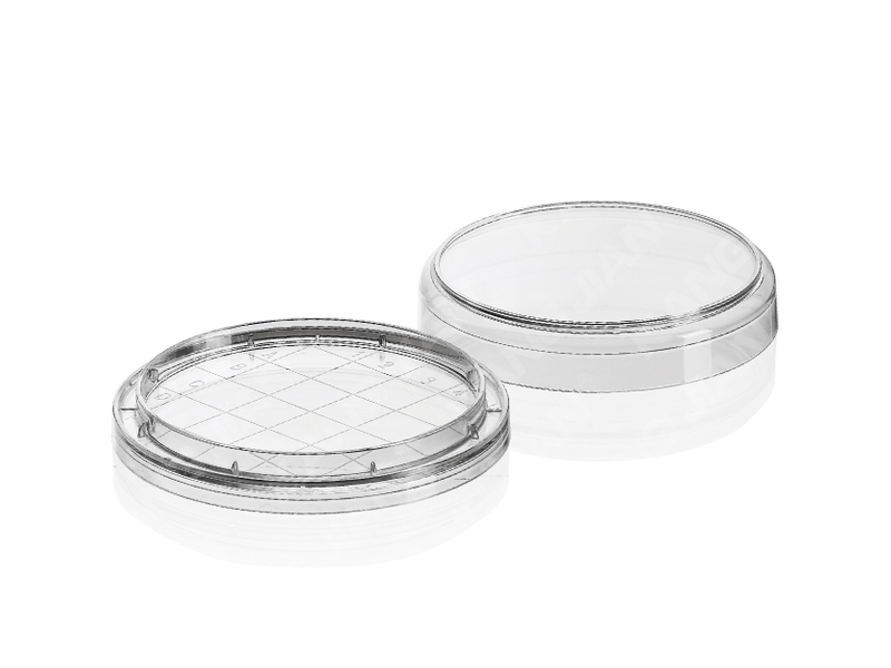 Petri Dish