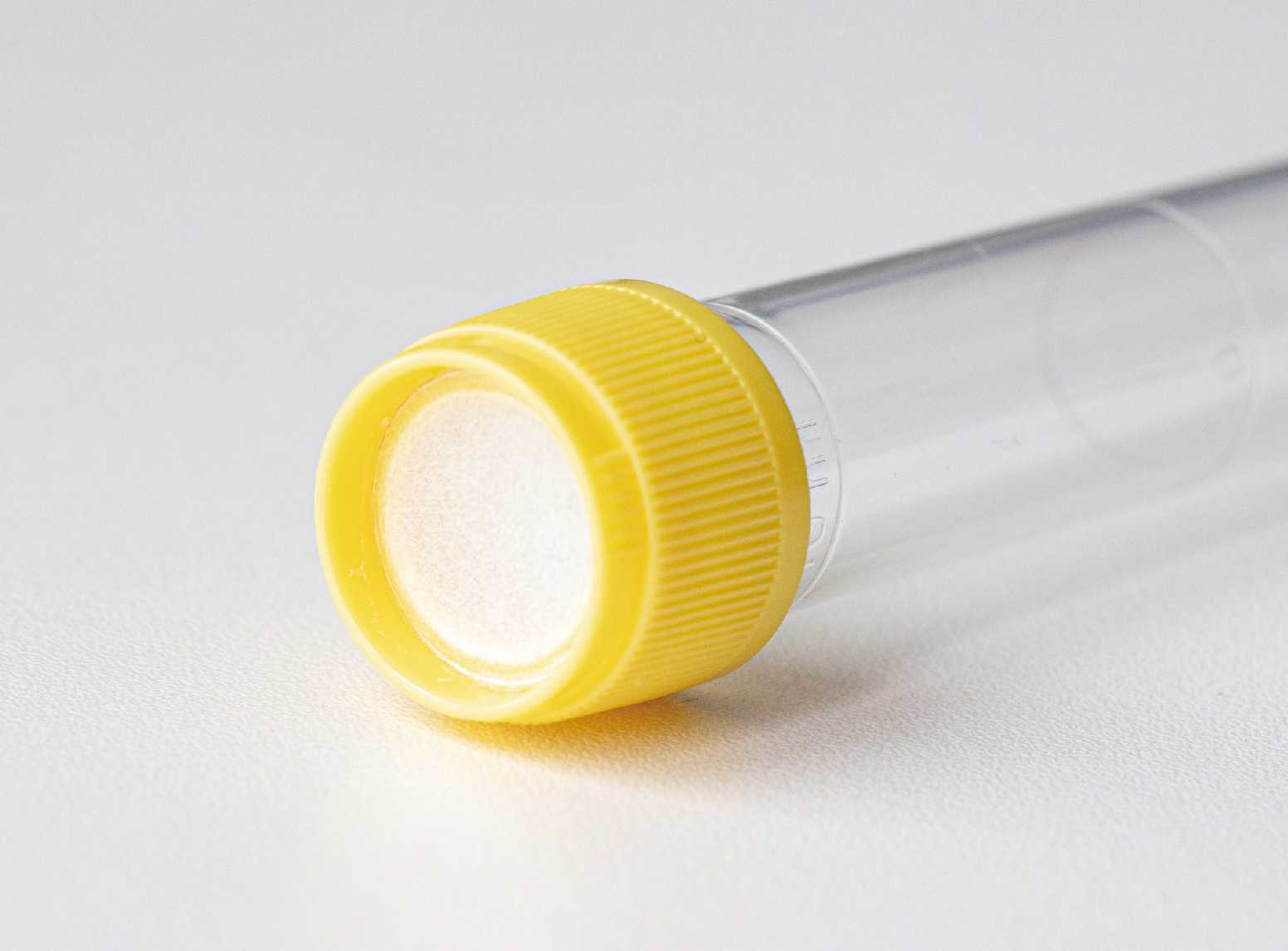 Type A: Puncturable coated film paper 