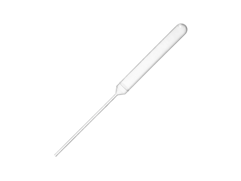 Transfer Pipette